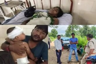 डेढ़ साल के मासूम बेटे को बचाने बाघ से भिड़ी मां, 25 मिनट तक आदमखोर से लड़ते रही, फिर हुआ ये…