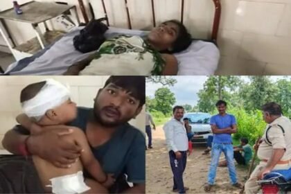 डेढ़ साल के मासूम बेटे को बचाने बाघ से भिड़ी मां, 25 मिनट तक आदमखोर से लड़ते रही, फिर हुआ ये…
