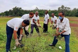आर्टकॉम की मुहीम: हर आंगन एक पेड़ की टीम एवं पर्यावरण मित्र मंडल की टीम का संयुक्त स्वच्छता अभियान