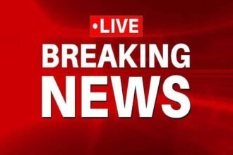 भिलाई-चरोदा और बीरगांव नगर निगम में एल्डरमैन की नियुक्ति, जानिए किसे मिला पद