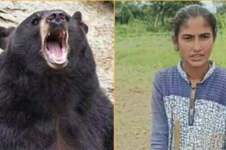 बहादुरी को सलाम: पिता को बचाने के लिए भालू से भिड़ गई 14 साल की बेटी, जाने फिर क्या हुआ