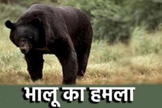 माता के दर्शन करने जा रहे दो युवकों पर भालुओं ने किया हमला, स्कूली बच्चे का आंख नोंचकर निकाला