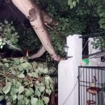 सेक्टर 2 की इस सड़क में दौड़ रहा था करंट..लोगों ने अंधेरे में बिताई रात