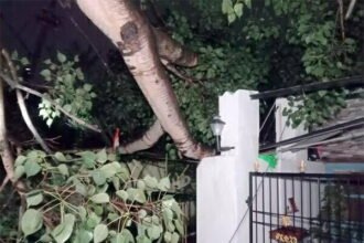 सेक्टर 2 की इस सड़क में दौड़ रहा था करंट..लोगों ने अंधेरे में बिताई रात