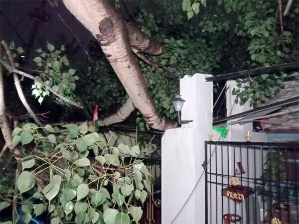 सेक्टर 2 की इस सड़क में दौड़ रहा था करंट..लोगों ने अंधेरे में बिताई रात