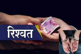 घूसखोर महिला पटवारी निलंबित, बार-बार रिश्वत मांगने से तंग आकर युवक ने बनाया वीडियो