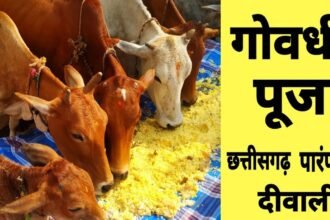 गोवर्धन पूजा आज, गायों को खिलाई जाएगी खिचड़ी, यादव समाज के लोग करेंगे पारंपरिक राउत नाचा