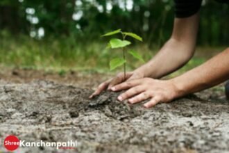 छत्तीसगढ़ पर्यावरण संरक्षण मंडल की पहल: दो दिवसीय इको बाल मेले में बच्चें उकेरेंगे प्रकृति के रंग