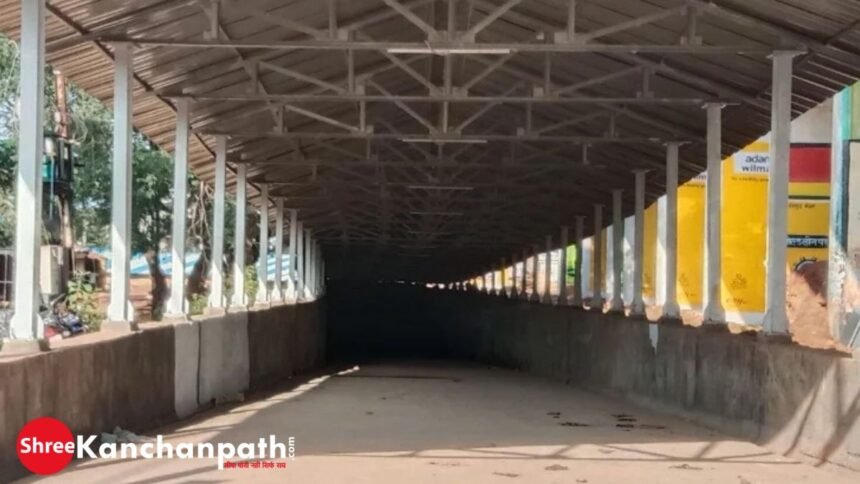 14 करोड़ की लागत से बने दोनों अंडरब्रिज का लोकार्पण 12 को, विधायक ने सीएम के प्रति जताया आभार, कहा- आवाजाही में होगी आसानी