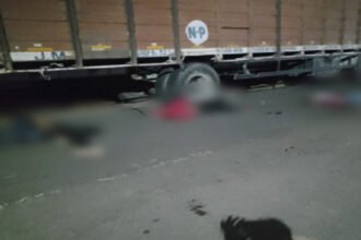 Breaking: छत्तीसगढ़ में भीषण सड़क हादसा, रात के अंधेरे में खड़े कंटेनर से टकराए बाइक सवार युवक, तीनों की मौके पर ही मौत