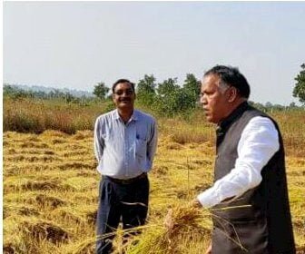 ये कोई आम किसान नहीं इस जिले के कलेक्टर हैं, जो खेत में धान काटने से खुद को नहीं रोक पाए, फसल काटते हुए किसान को दी काम की सलाह