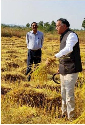 ये कोई आम किसान नहीं इस जिले के कलेक्टर हैं, जो खेत में धान काटने से खुद को नहीं रोक पाए, फसल काटते हुए किसान को दी काम की सलाह