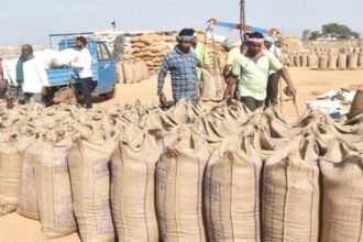 छत्तीसगढ़ में 107.52 लाख मीट्रिक टन धान की खरीदी का नया रिकॉर्ड
