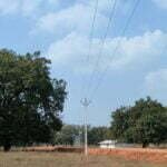 सपना हो रहा साकार: सरकार के प्रयास के चलते 653 परिवारों के घरों में फैला उजियारा