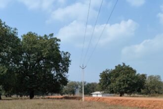 सपना हो रहा साकार: सरकार के प्रयास के चलते 653 परिवारों के घरों में फैला उजियारा