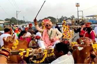 अनोखी शादी, बैलगाड़ी में बारात लेकर दुल्हनिया ब्याहने पहुंचा दूल्हा, बारातियों ने पहना छत्तीसगढ़ी धोती कुर्ता, जिसने भी देखा रह गया हैरान