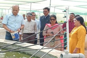 छत्तीसगढ़ में मछलियों के जेनेटिक्स में किया जा रहा अनुसंधान, थाईलैंड के वैज्ञानिक दे रहे तकनीकी सहयोग