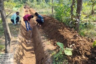 Narva Development Plan: 404 करोड़ रूपए की राशि से 73 लाख से अधिक संरचनाओं का निर्माण प्रगति पर