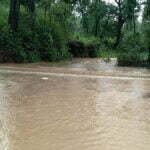 नरवा विकास से किसानों के जीवन में आई खुशहाली, नदी-नालों के पुनर्जीवन से बदलने लगी लोगों की तकदीर