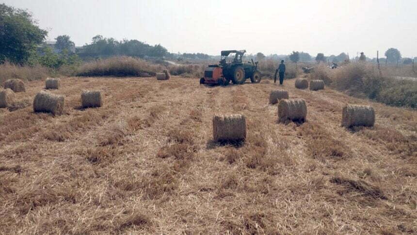 पशुचारा के लिए इस जिले के किसानों ने 93 हजार क्विंटल से अधिक का किया पैरादान