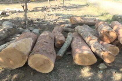 लकड़ी तस्कर ने फिल्मी स्टाइल में वारंट फाड़कर रेंजर और वनकर्मियों को पीटा, मन नहीं भरा तो जान से मारने टंगिया लेकर दौड़ाया