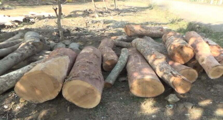 लकड़ी तस्कर ने फिल्मी स्टाइल में वारंट फाड़कर रेंजर और वनकर्मियों को पीटा, मन नहीं भरा तो जान से मारने टंगिया लेकर दौड़ाया