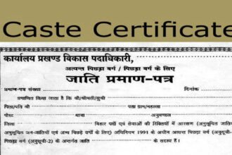 अपनी जाति छिपाना महिला सरपंच को पड़ गया भारी, निर्वाचन के महज 10 महीने जांच में खुल गई पोल, अब पद से हटाया