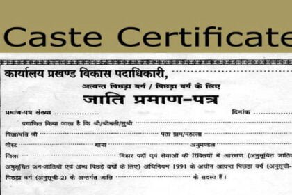 अपनी जाति छिपाना महिला सरपंच को पड़ गया भारी, निर्वाचन के महज 10 महीने जांच में खुल गई पोल, अब पद से हटाया