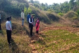 कलेक्टर ने लकरापारा गौठान का किया मुआयना, सामुदायिक बाड़ी का विस्तार और बेहतर मुनाफे के लिए किया प्रोत्साहित