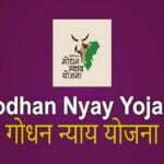 Godhan Nyay Yojana दंतेवाड़ा की महिलाओं को आत्मनिर्भर बनाने में कर रही मदद, योजना ने लक्ष्मी के परिवार में लाई आर्थिक समृद्धि