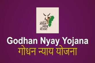 Godhan Nyay Yojana दंतेवाड़ा की महिलाओं को आत्मनिर्भर बनाने में कर रही मदद, योजना ने लक्ष्मी के परिवार में लाई आर्थिक समृद्धि