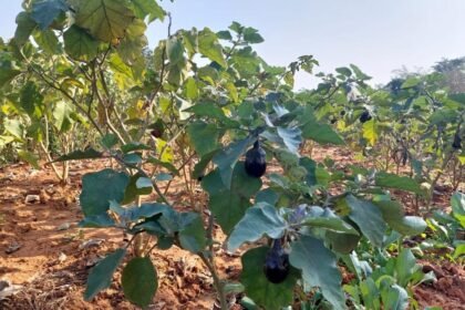 'गढ़बो नवा छत्तीसगढ़' में प्रदेश के युवाओं और महिलाओं की होगी महत्वपूर्ण भूमिका:सीएम बघेल