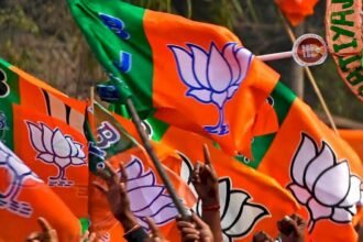 Big Breaking: भारतीय जनता पार्टी की राष्ट्रीय कार्यसमिति के सदस्य बने छत्तीसगढ़ के ये नेता, संगठन को मजबूत करने दी बड़ी जिम्मेदारी