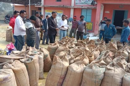 Irregularity in paddy purchase: 70 bags of non-standard paddy seized, action taken during inspection