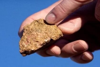 पृथ्वी के दुर्लभ तत्वों के बाजार पर चीन के बढ़ते प्रभुत्व ने अमेरिका सहित कई देशों की बढ़ाई टेंशन