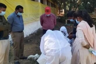 इस बीमारी की वजह से मर गई 3700 मुर्गियां, रिपोर्ट में खुलासा, बेहतर रिजल्ट के लिए पुणे भेजे गए सैंपल