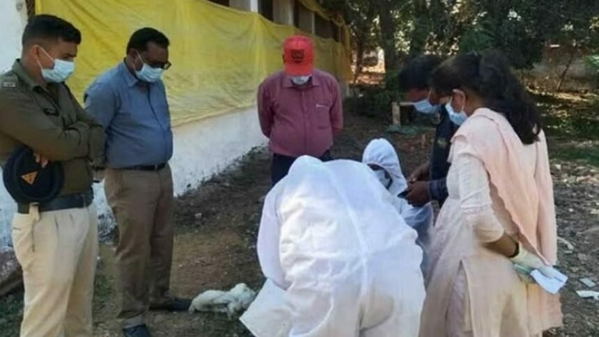 इस बीमारी की वजह से मर गई 3700 मुर्गियां, रिपोर्ट में खुलासा, बेहतर रिजल्ट के लिए पुणे भेजे गए सैंपल