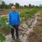 शासकीय योजनाओं और नवीन तकनीक से उद्यानिकी क्षेत्र में किसानों को मिल रहा बड़ा लाभ