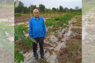 शासकीय योजनाओं और नवीन तकनीक से उद्यानिकी क्षेत्र में किसानों को मिल रहा बड़ा लाभ