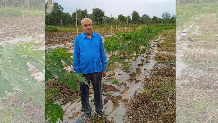 शासकीय योजनाओं और नवीन तकनीक से उद्यानिकी क्षेत्र में किसानों को मिल रहा बड़ा लाभ