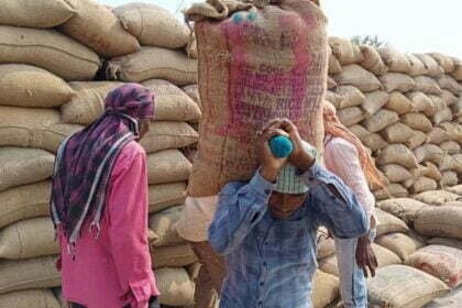 कस्टम मिलिंग के लिए 103 लाख मीट्रिक टन धान का उठाव