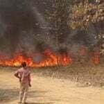गर्मी की आहट: एक छोटी सी चिंगारी ने बर्बाद किए 12 एकड़ में फैले सागौन की बाड़ी