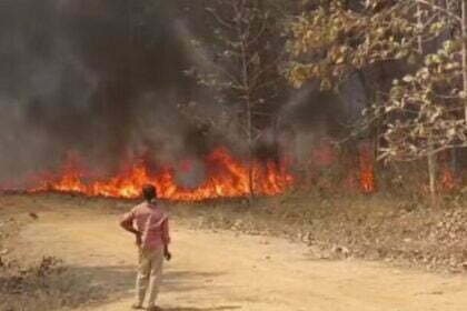 गर्मी की आहट: एक छोटी सी चिंगारी ने बर्बाद किए 12 एकड़ में फैले सागौन की बाड़ी