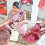 होली के लिए तैयार हो रहा हर्बल गुलाल, क्वालिटी ऐसी की चेहरे को नहीं होगा कोई नुकसान