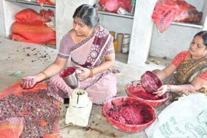 होली के लिए तैयार हो रहा हर्बल गुलाल, क्वालिटी ऐसी की चेहरे को नहीं होगा कोई नुकसान