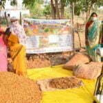 छत्तीसगढ़ देश का सबसे बड़ा वनोपज संग्राहक, चार सालों में वनोपज संग्राहकों की संख्या में 4 गुना से ज्यादा की बढ़ोत्तरी