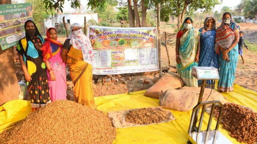 छत्तीसगढ़ देश का सबसे बड़ा वनोपज संग्राहक, चार सालों में वनोपज संग्राहकों की संख्या में 4 गुना से ज्यादा की बढ़ोत्तरी