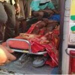 तीन युवकों पर बाघ ने किया हमला, एक की मौत दो की हालत गंभीर, 20 मिनट तक किया संघर्ष, बाघ भी घायल