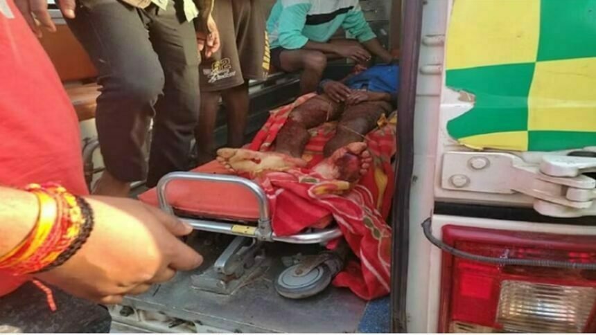 तीन युवकों पर बाघ ने किया हमला, एक की मौत दो की हालत गंभीर, 20 मिनट तक किया संघर्ष, बाघ भी घायल