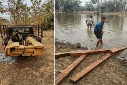 वन विभाग की छापामार कार्रवाई: 25 लाख की सागौन जब्त, पानी में छिपा कर रहे थे लकड़ी की तस्करी